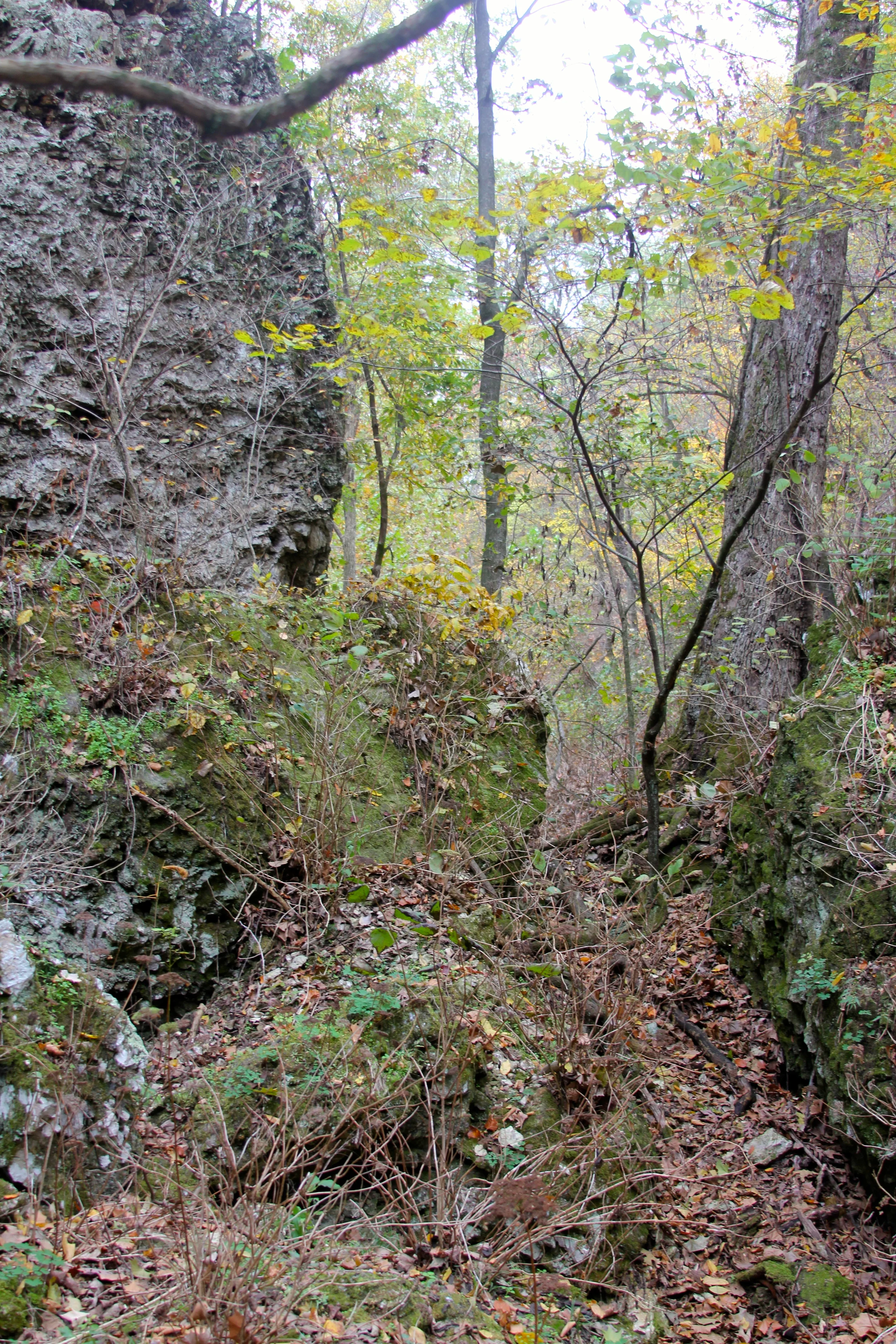 IMG_7565.jpg