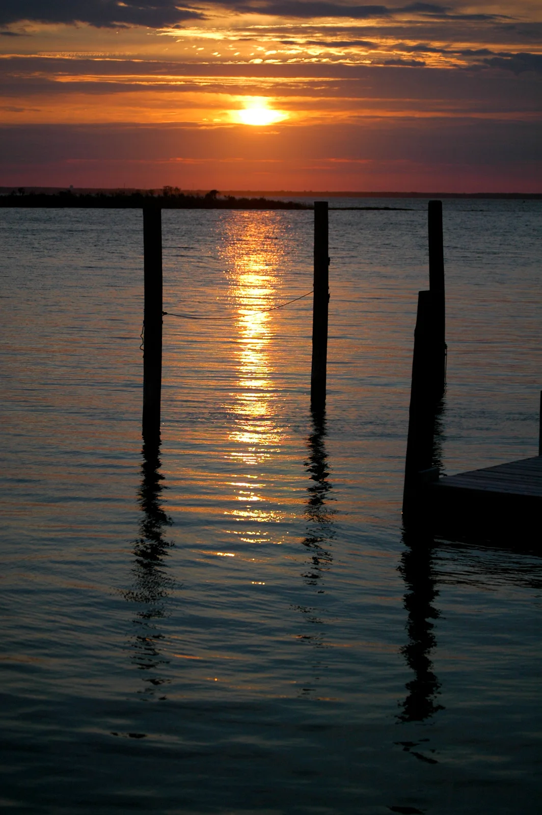 dsc_0035.jpg
