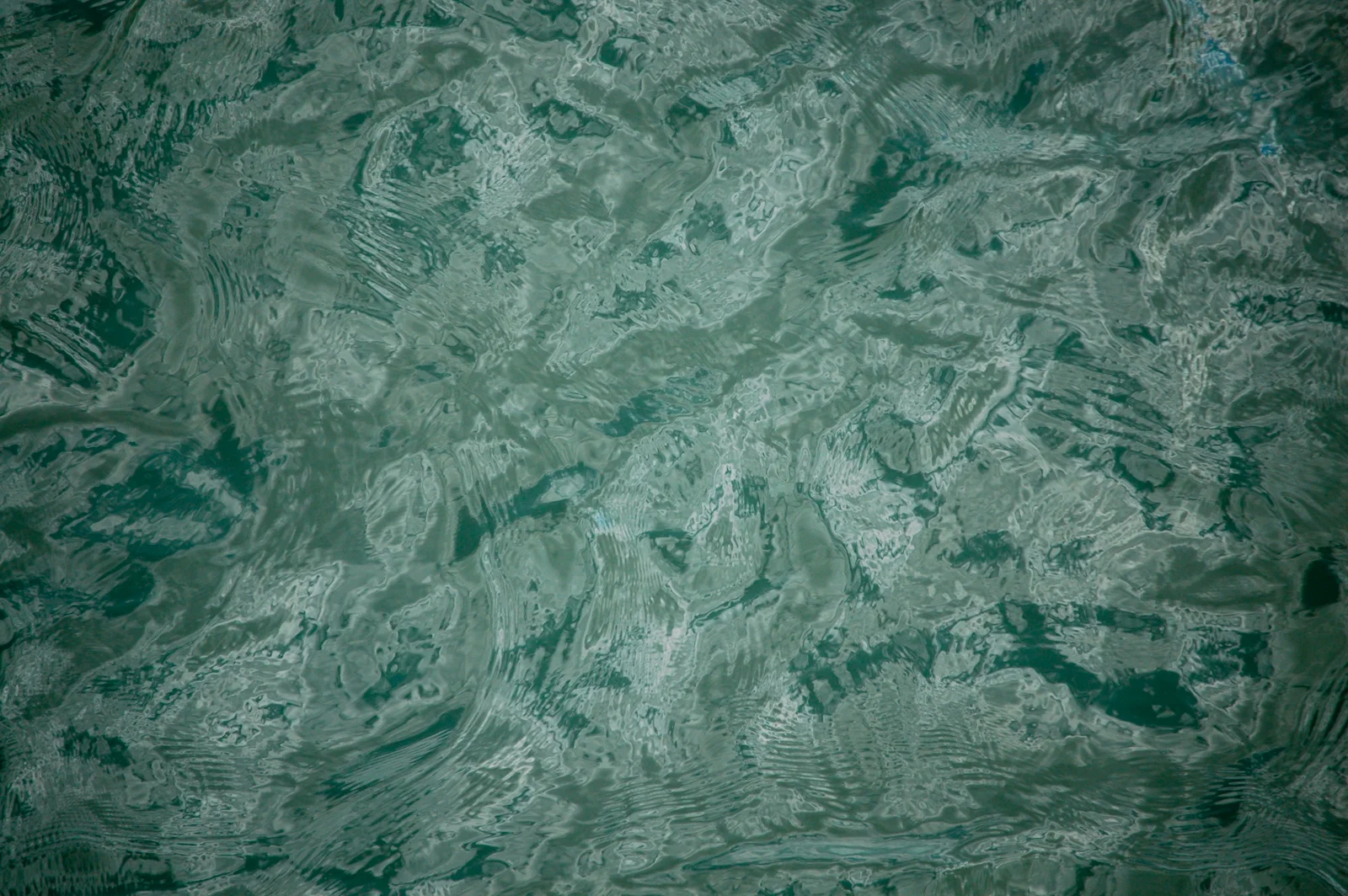 dsc_0093.jpg