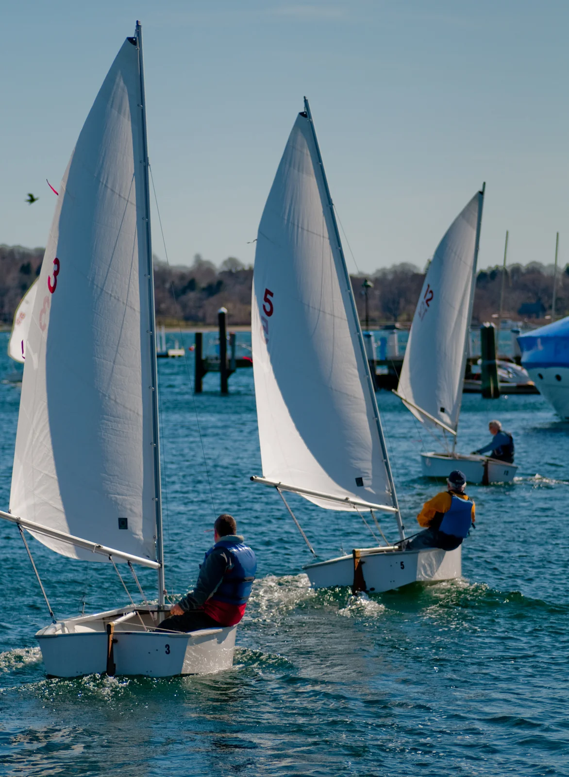 dsc_2246.jpg