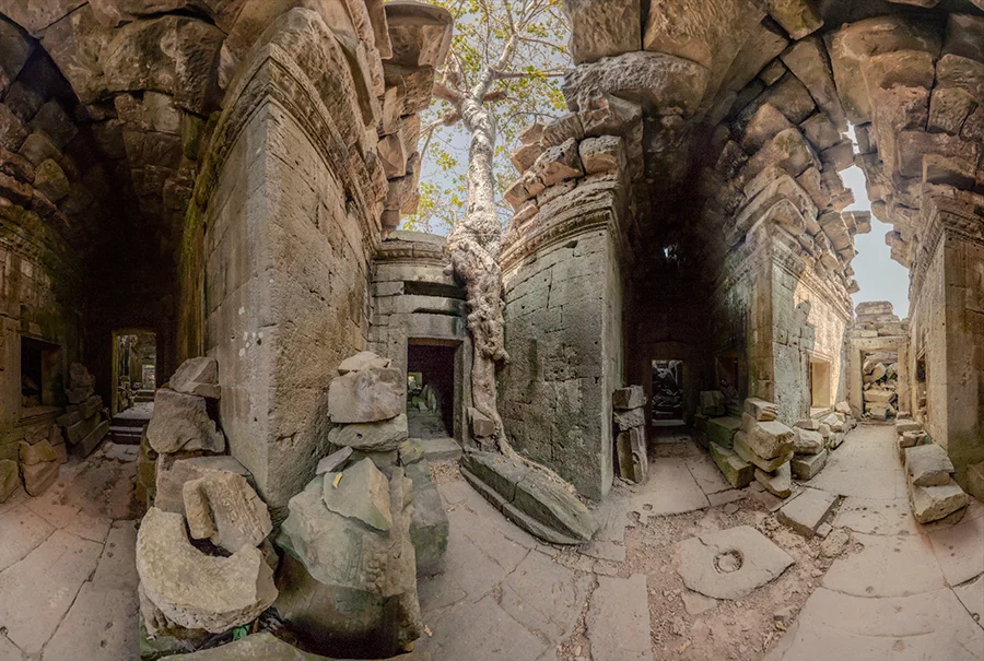 VIEW INTERACTIVE 360°