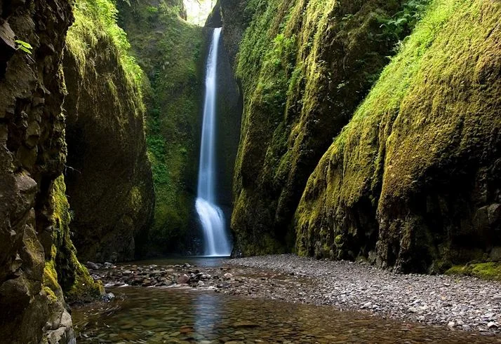 oneonta_gorge_1.jpg