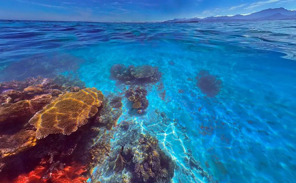 The Panographers -  Episode 2: OCEANS (underwater panoramas)