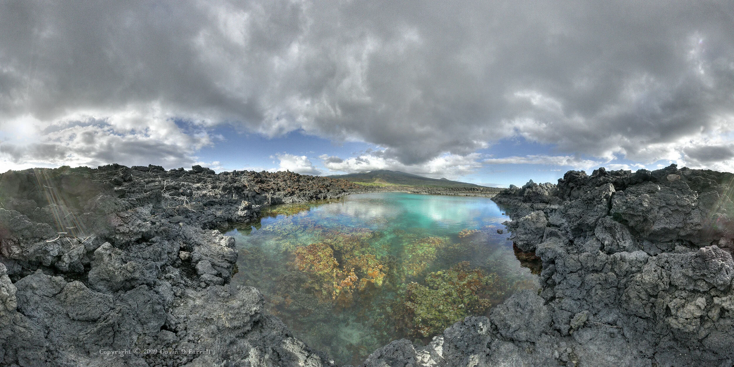 reef-pools-at-cape-hanamanioa-lava-fields-la-perouse-bay-2006_4050483725_o.jpg