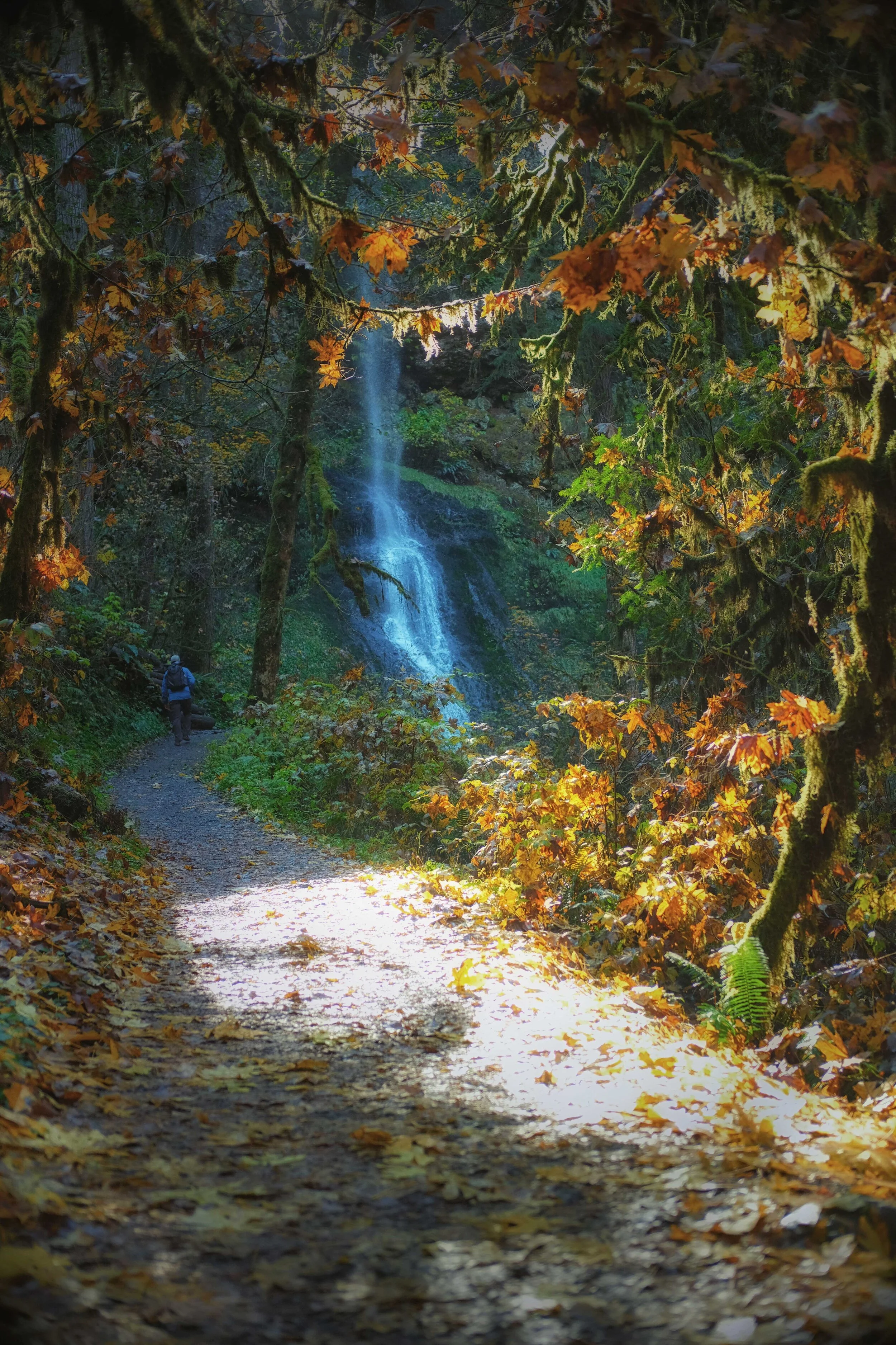 DSCF1866.jpg