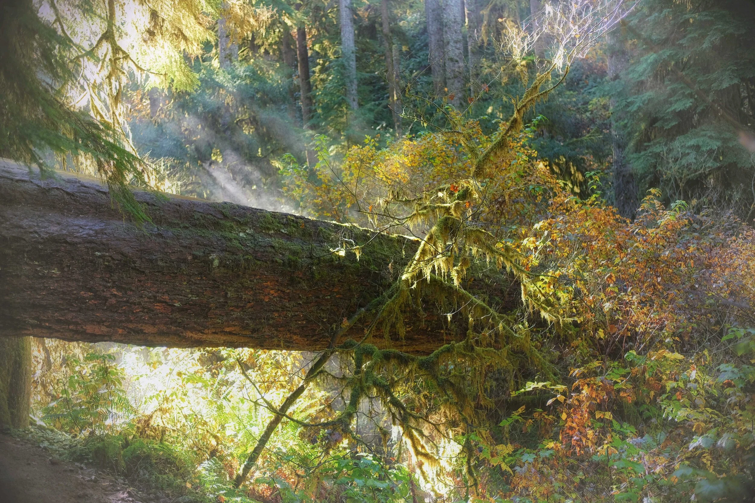 DSCF1860.jpg