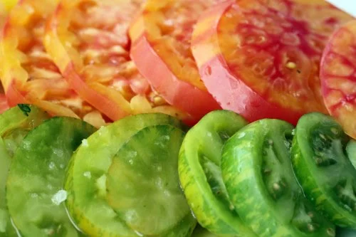 Tomato-george.jpg