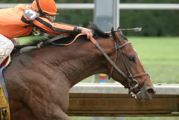 Kentucky-Derby_leader.jpg