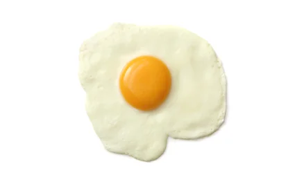 Egg.jpg
