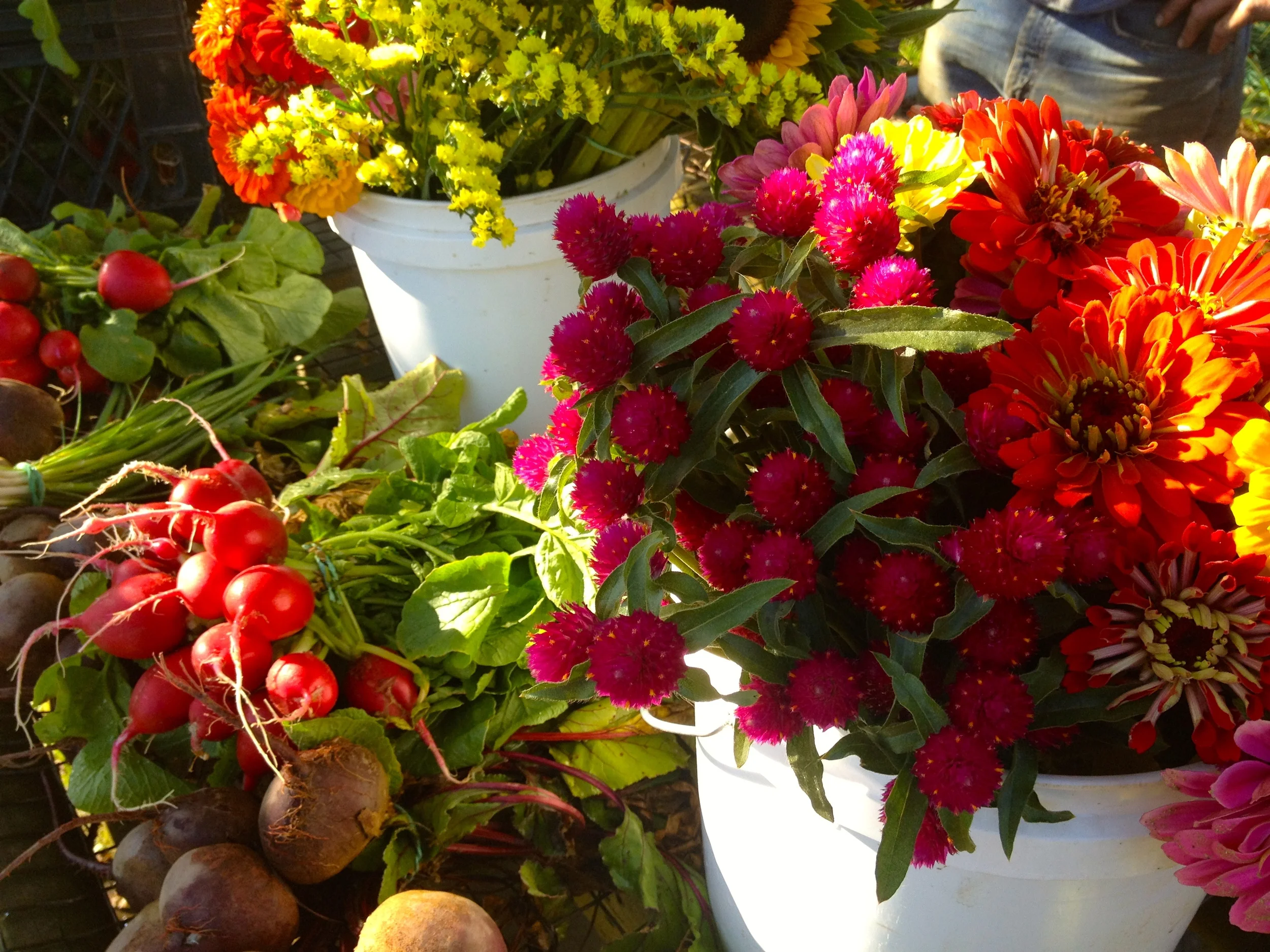 George Hirsch Lifesyle Seps.JPG