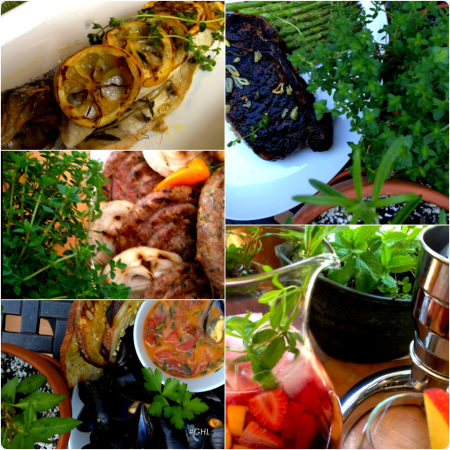 George Hirsch Herbs with 5 dishes