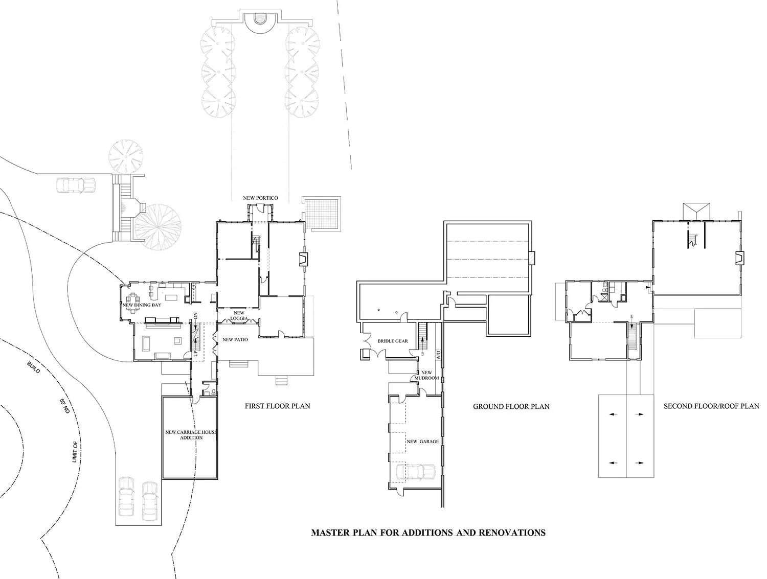 Hamilton CAD Master Plan .jpg