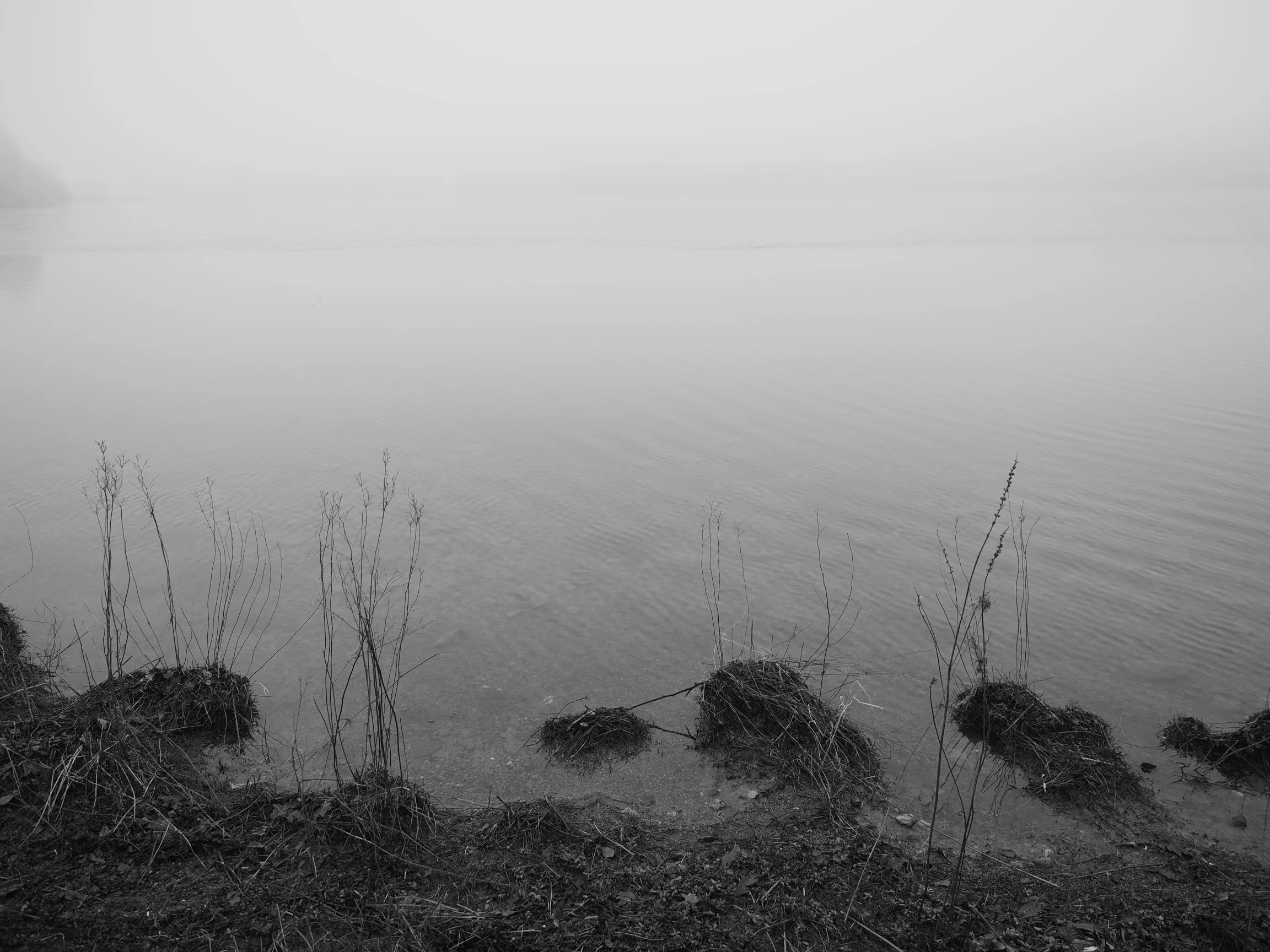FoggyGrasmere2.jpg