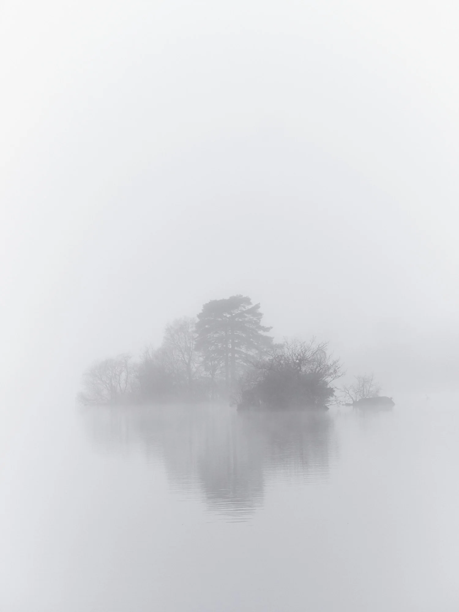 8Misty IslandCR.jpg