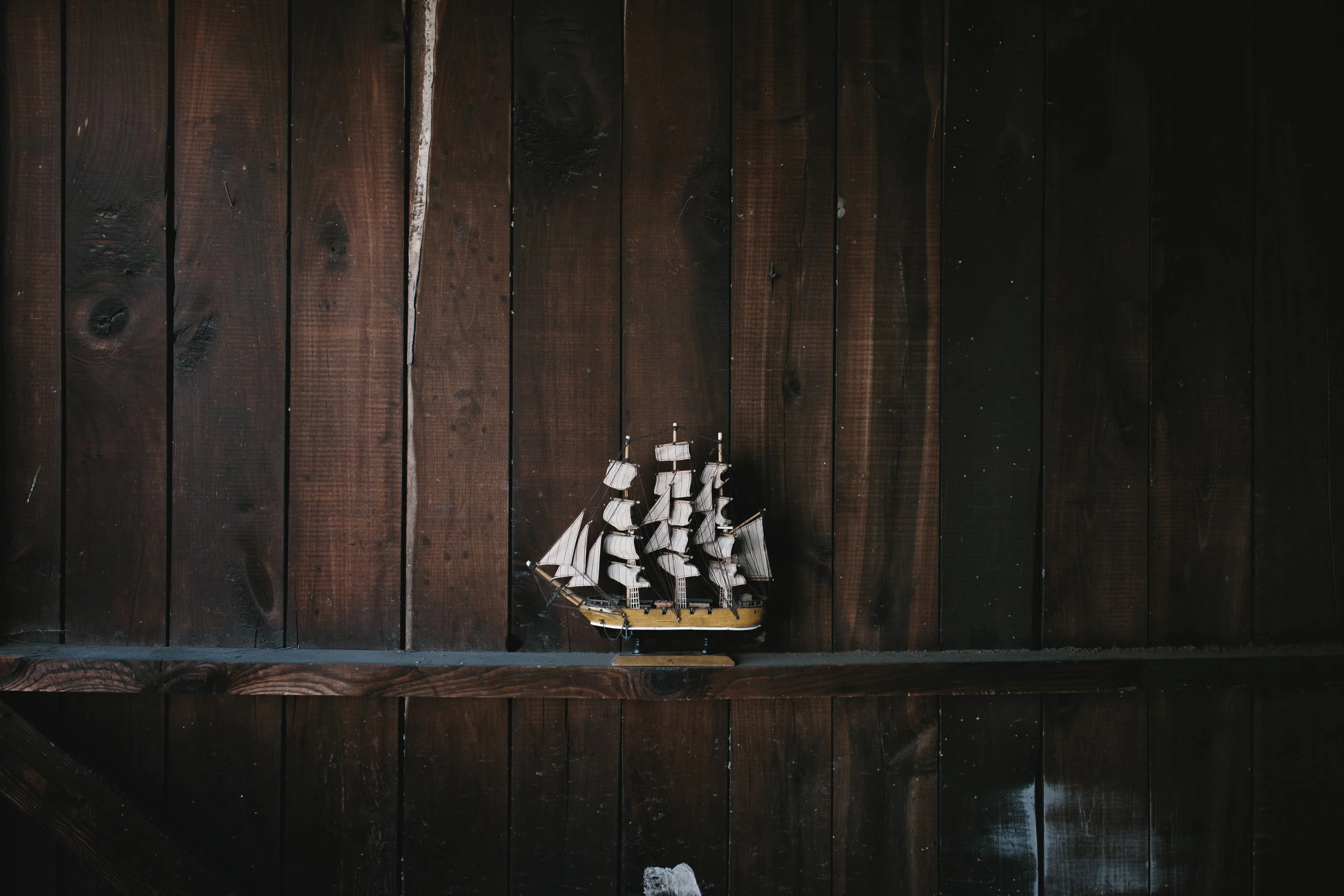 Photo by Andrew Neel on Unsplash