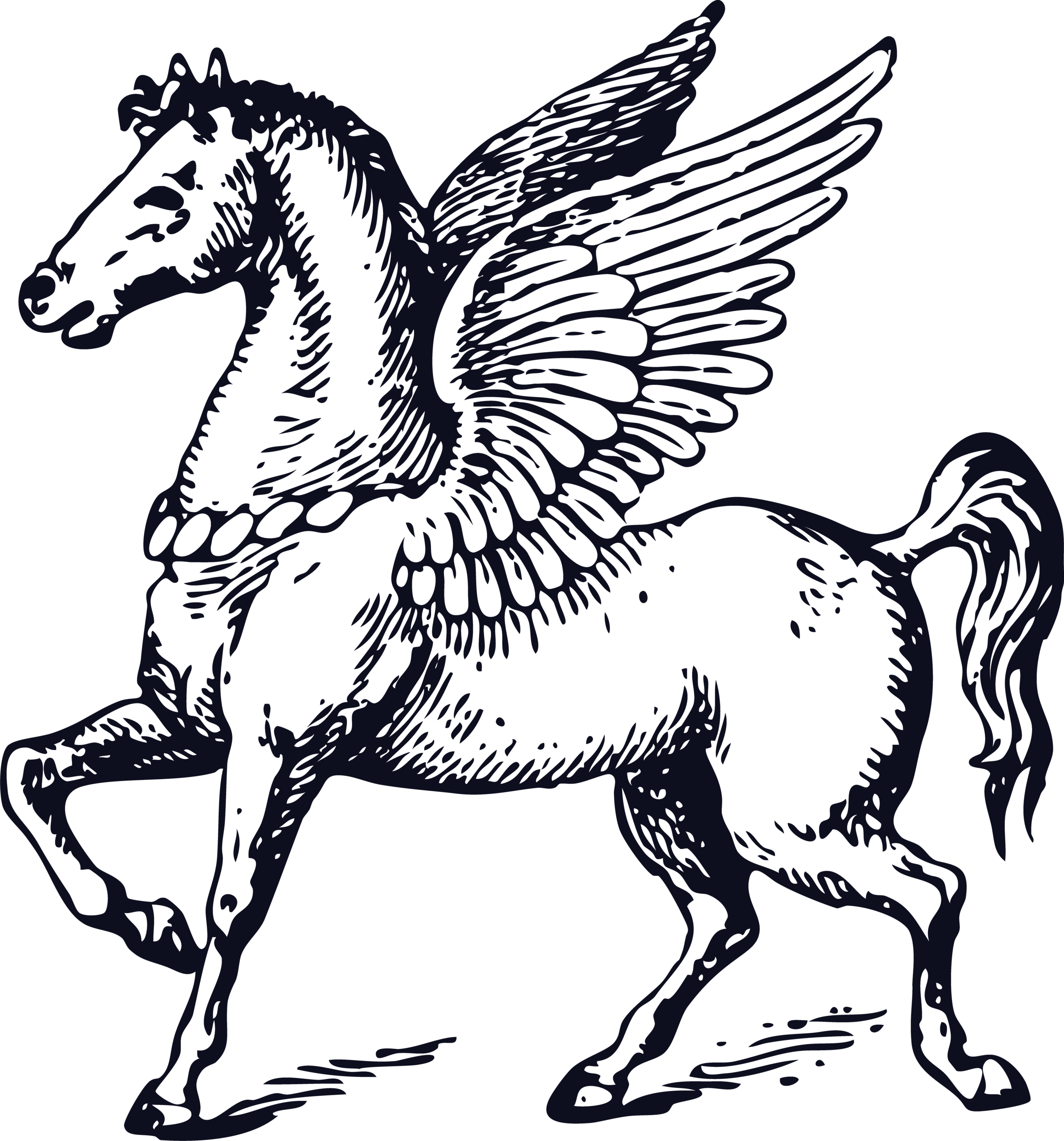CW 2019 Assets - Pegasus.png