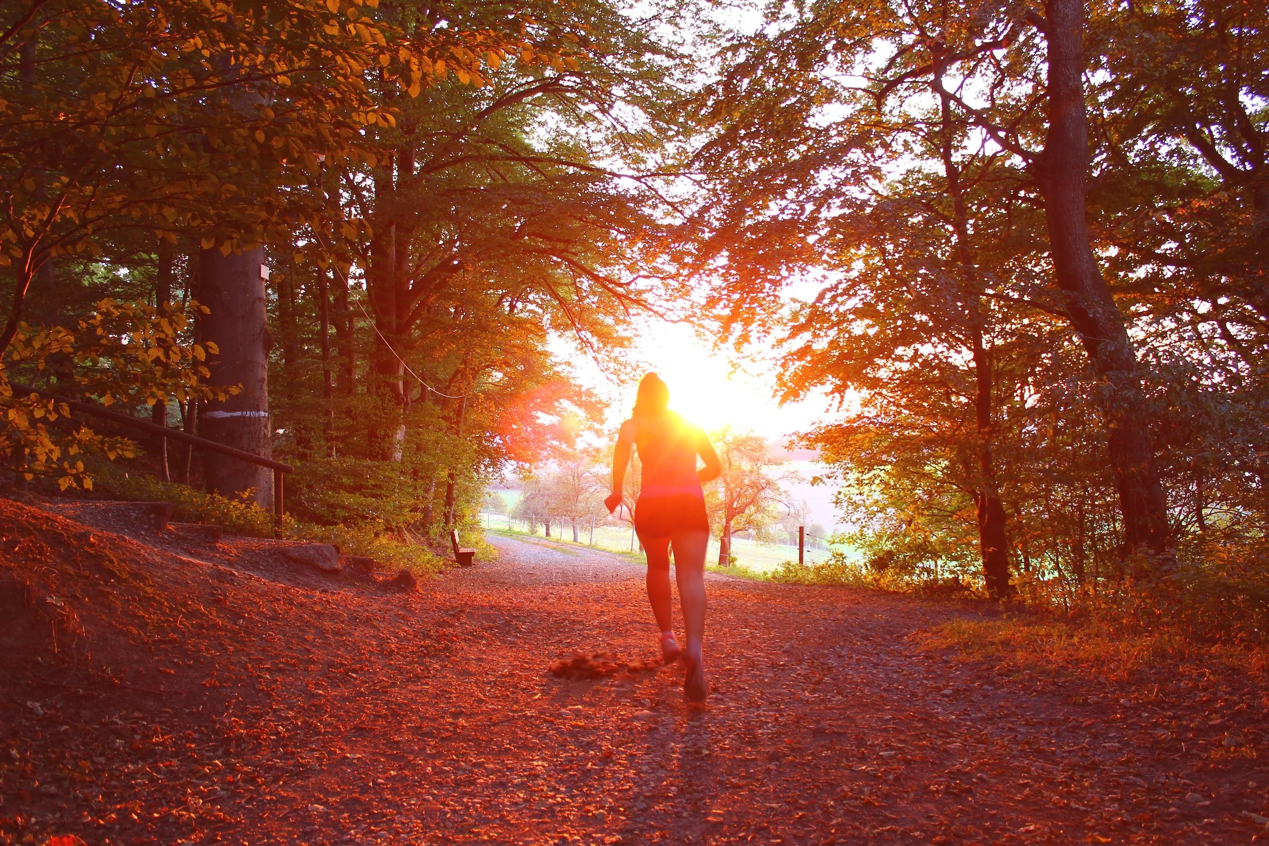Photo by Nathalie Désirée Mottet on Unsplash