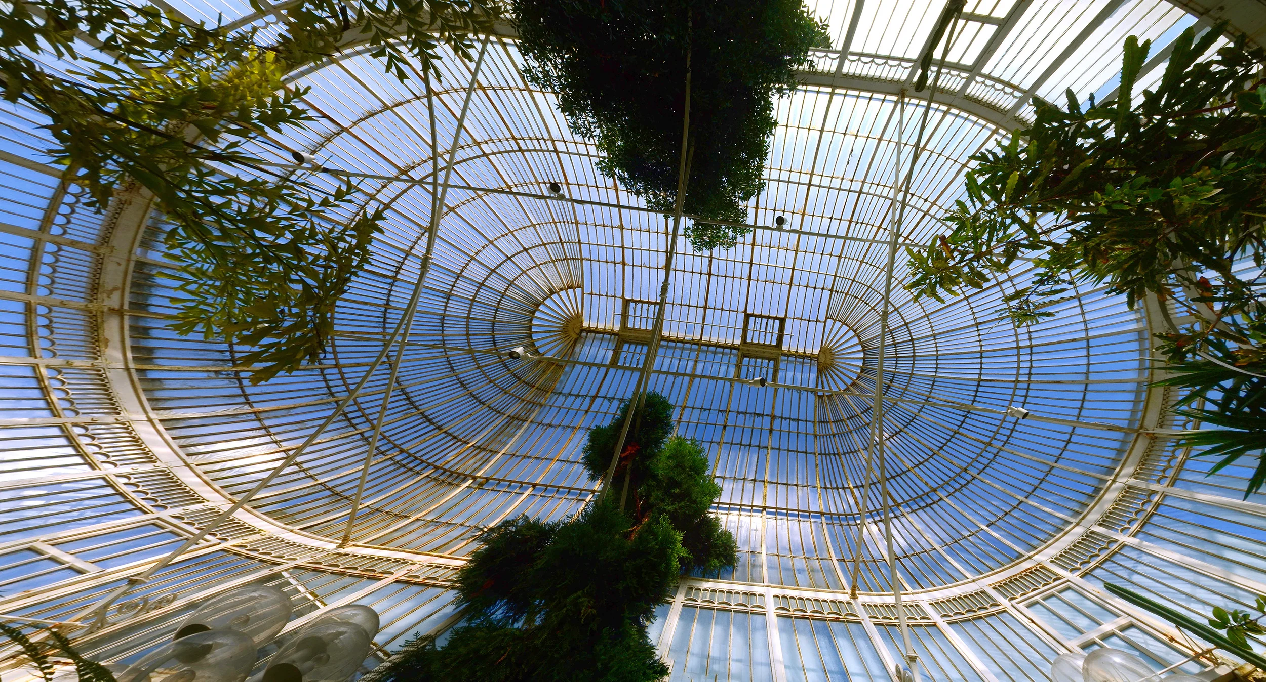 Botanic Gardens