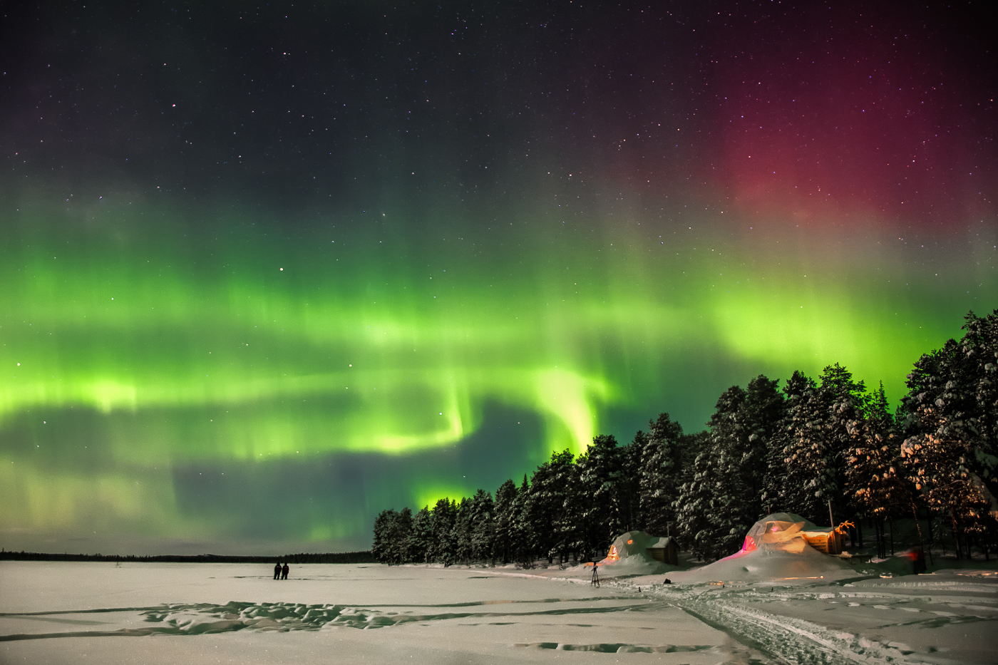 Highly Commended - PDI - Aurora - by Lesley Porter