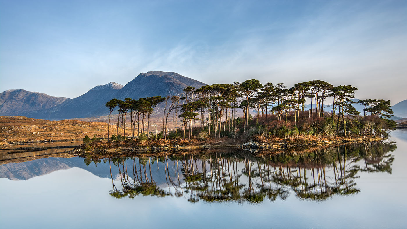 Highly Commended - PDI - Pine Island - Glen Banna
