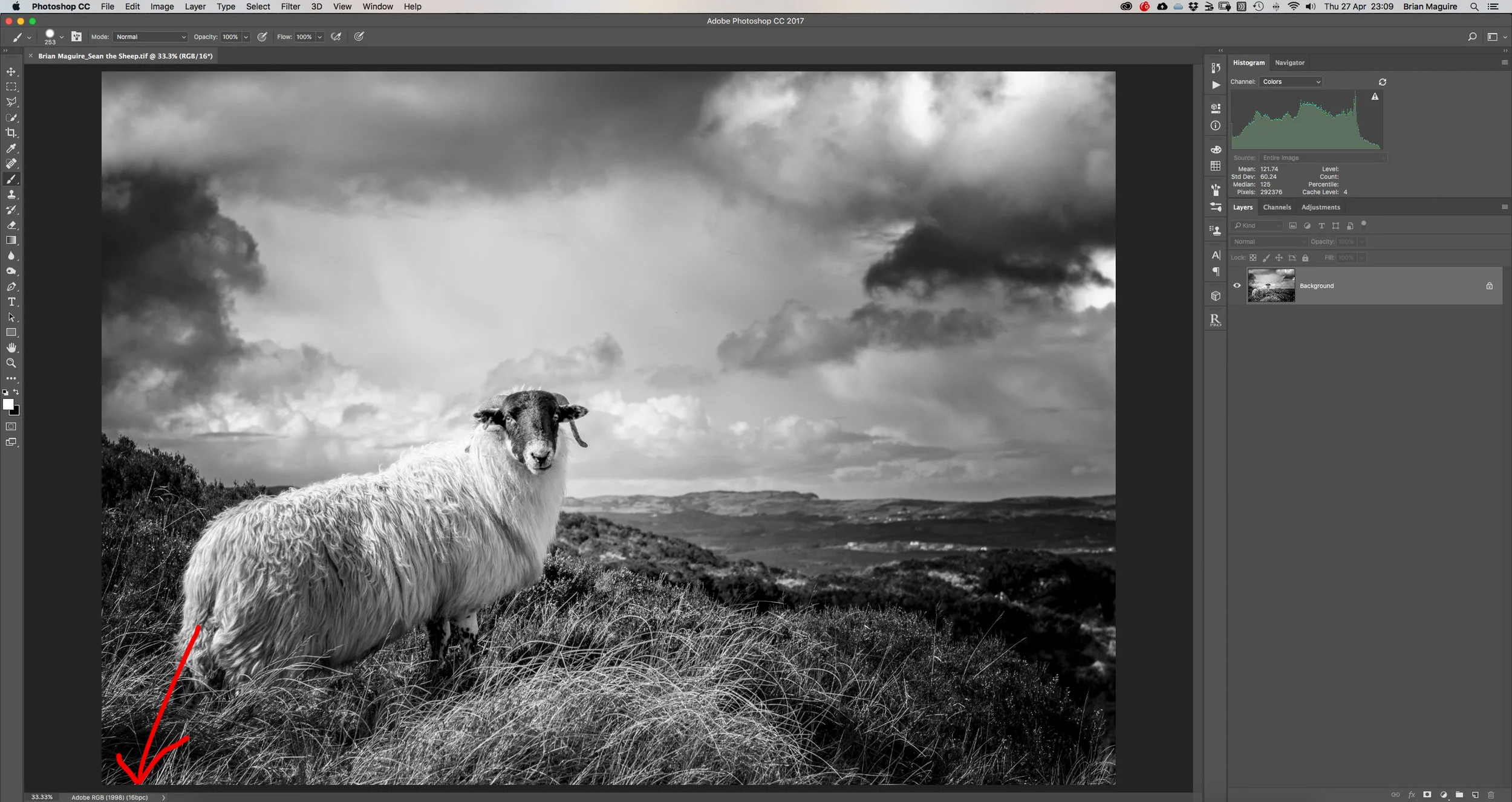 Note at the bottom left of the Photoshop window that this is in AdobeRGB format. Your installation of Photoshop might not be set up in the same way and you might not see the colorspace here. To get to Photoshop's color settings, go up to the Edit menu in the Menu Bar along the top of the screen and choose Color Settings : Convert to Profile. Check what the existing colorspace is in the first box 'Source space'. If it's already AdobeRGB that's fine - otherwise convert it here to AdobeRGB (1998).