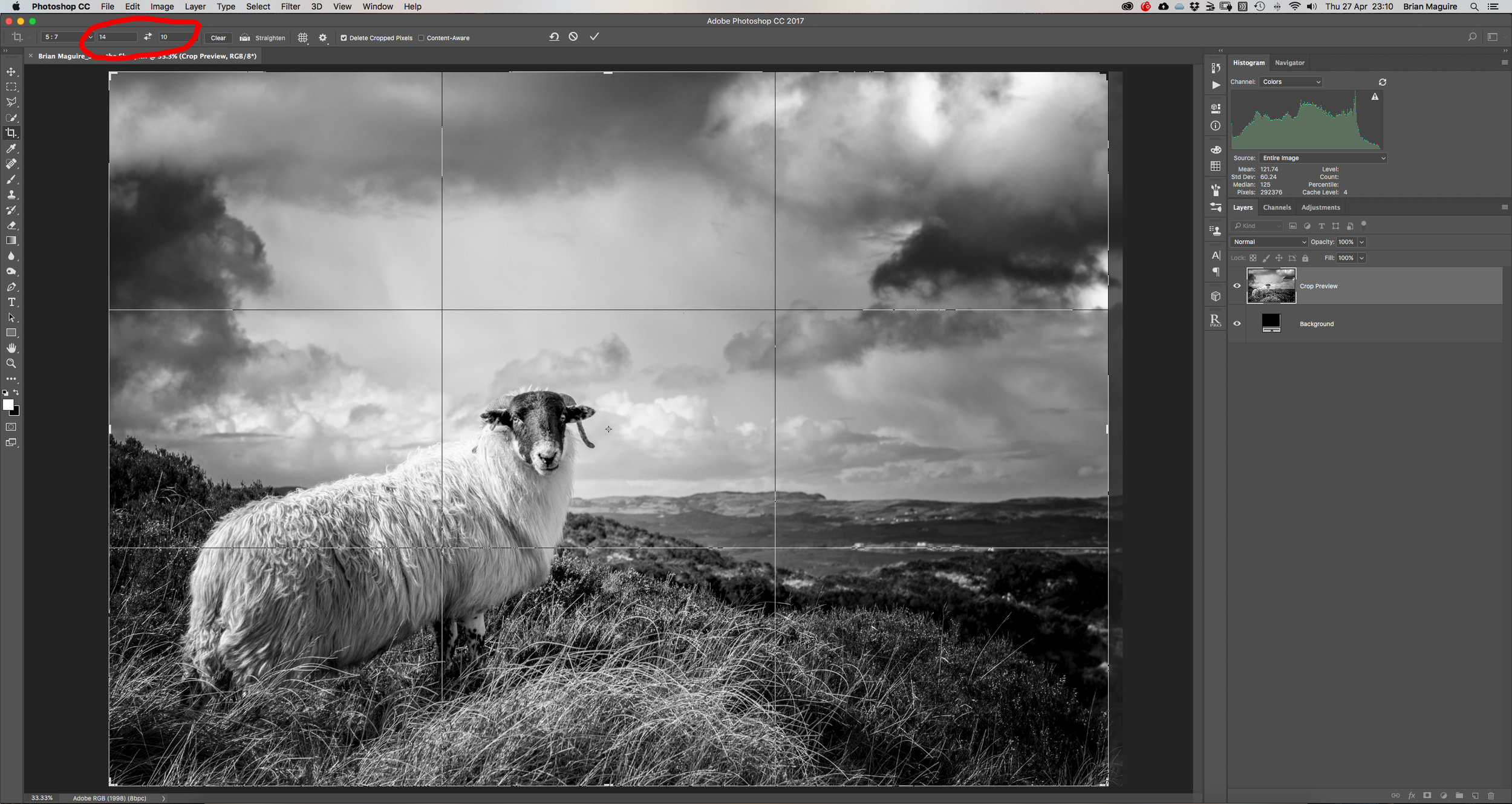 Next we need to crop the image to the correct ratio. Select the crop tool and enter 14 x 10 (or 5 x 7) as the ratio. Do not add 'px' or 'mm' or 'in' or any other unit of measurement, just the numbers!