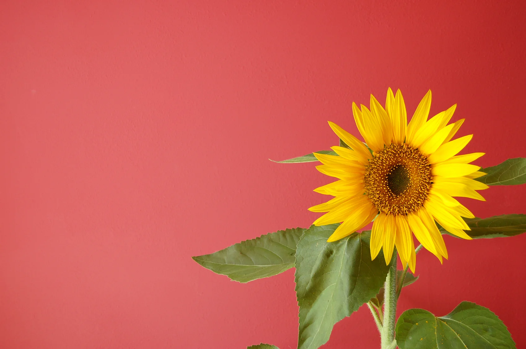 iStock_000001495777Medium.jpg