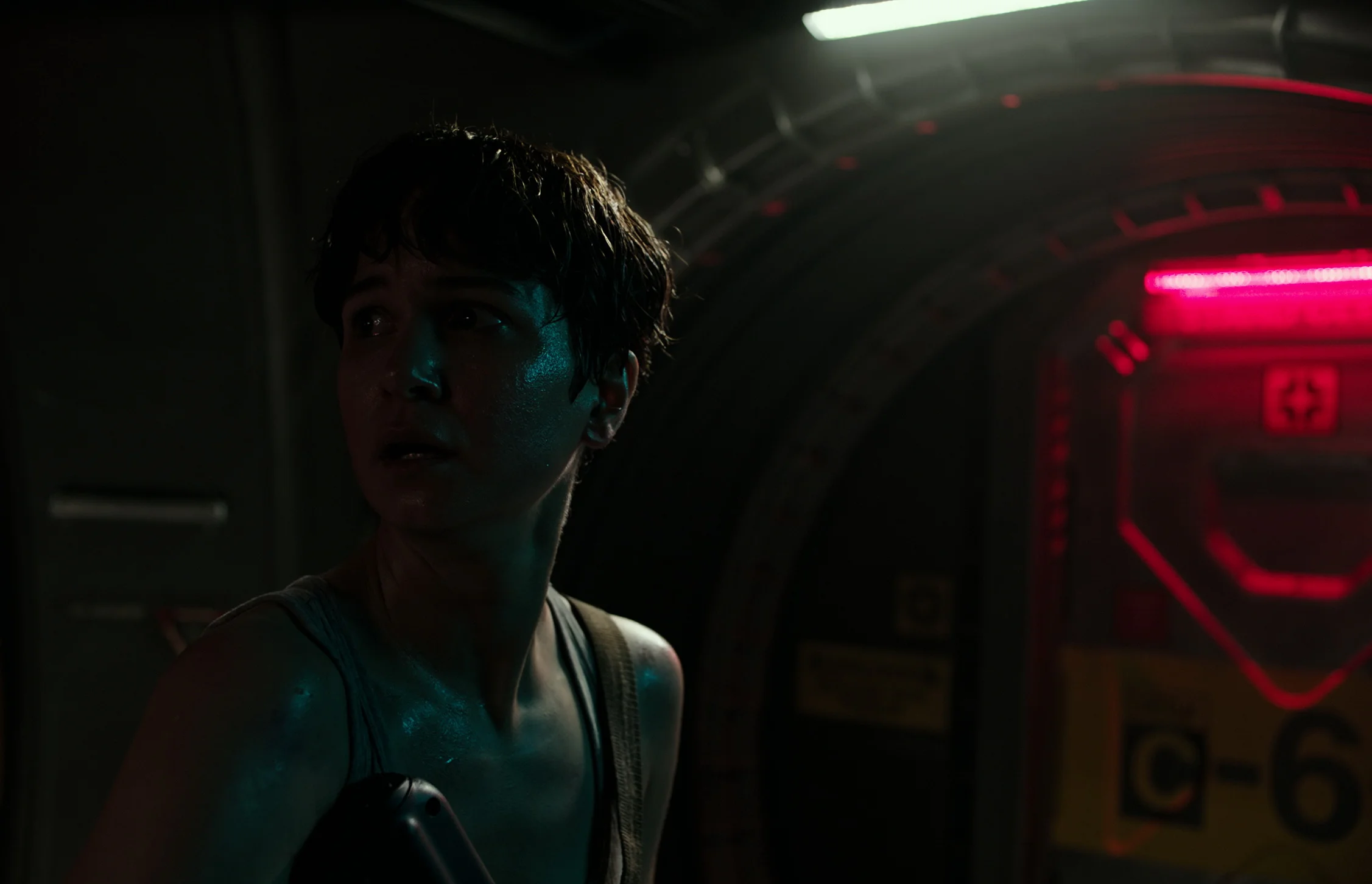 Katherine Waterston.jpg