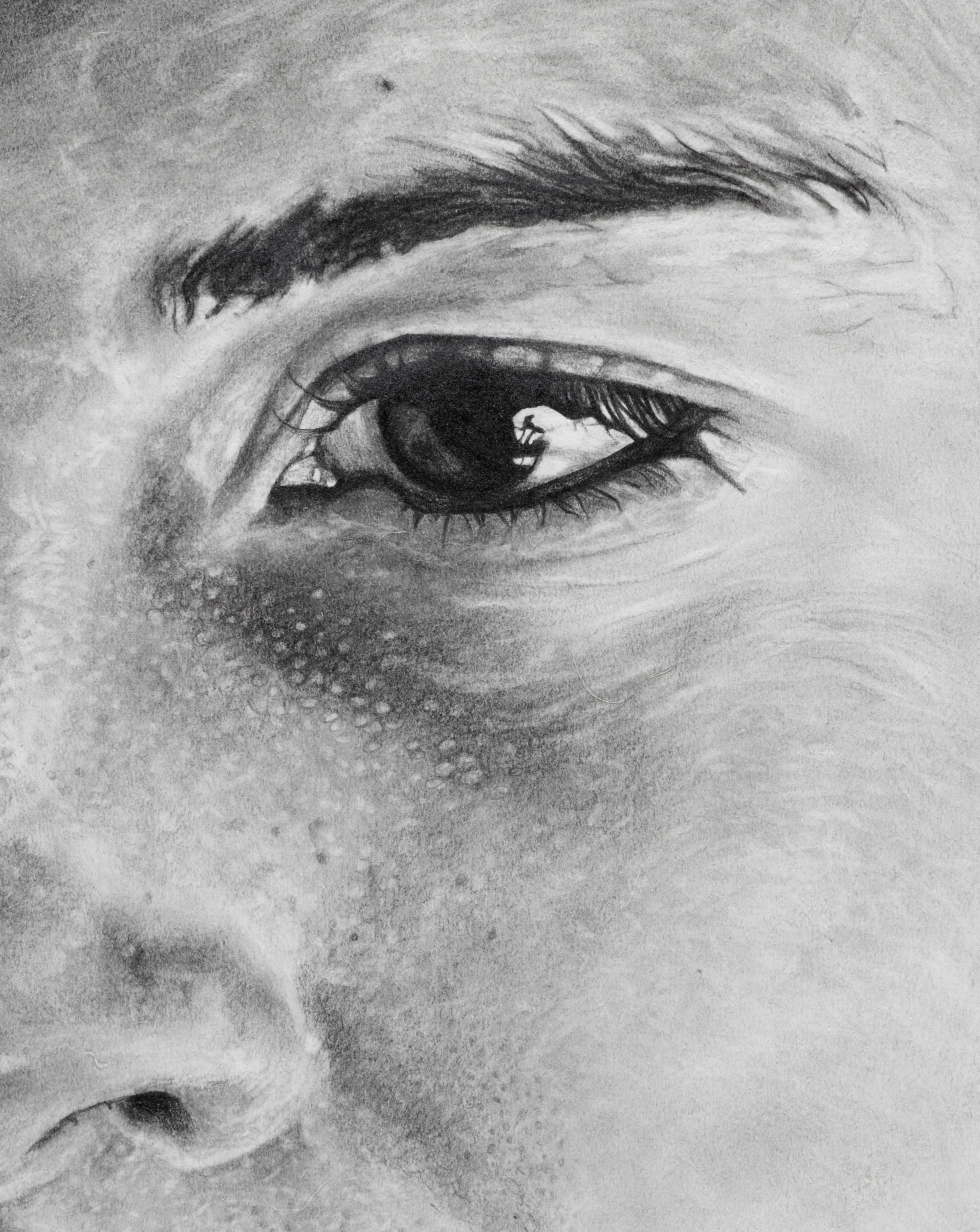(2012 Courtney-drawing-edited-cropped-1).jpg