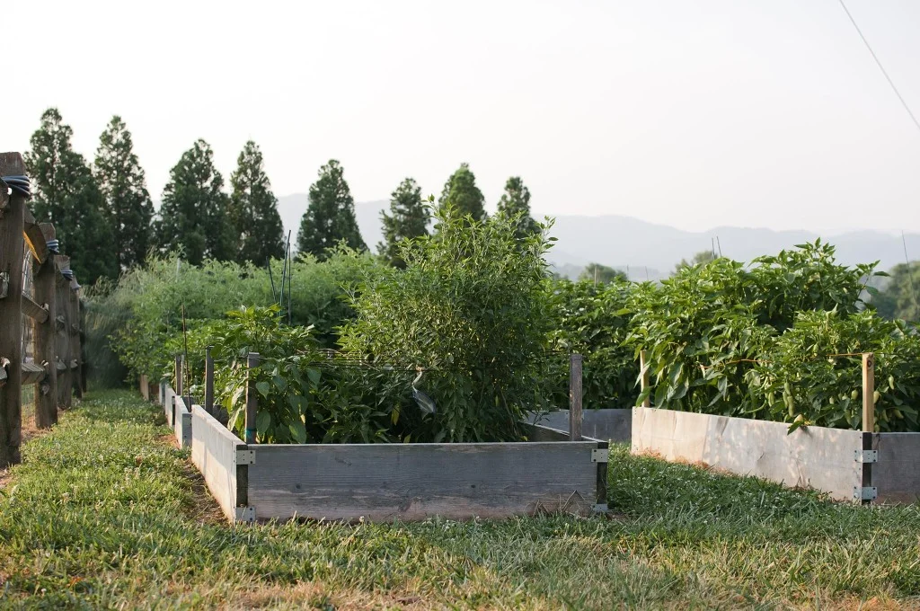 ContentImage-746-101329-farms2012286.jpg
