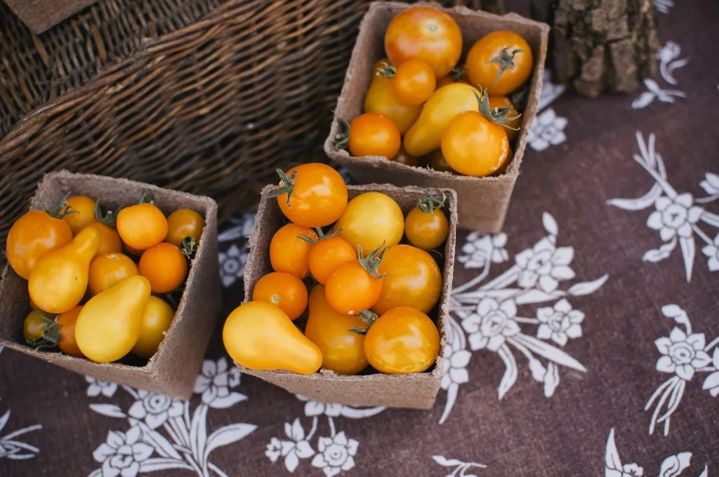 ContentImage-746-97311-farms201255.jpg