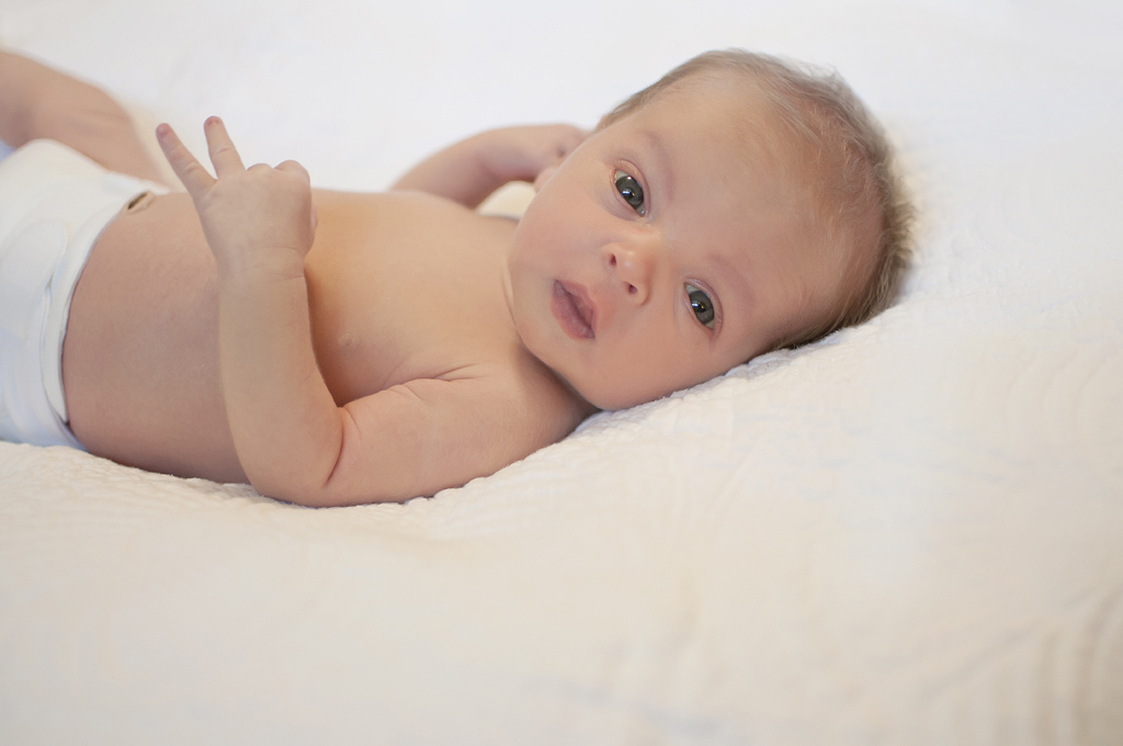 ContentImage-746-10113-rowan77.jpg