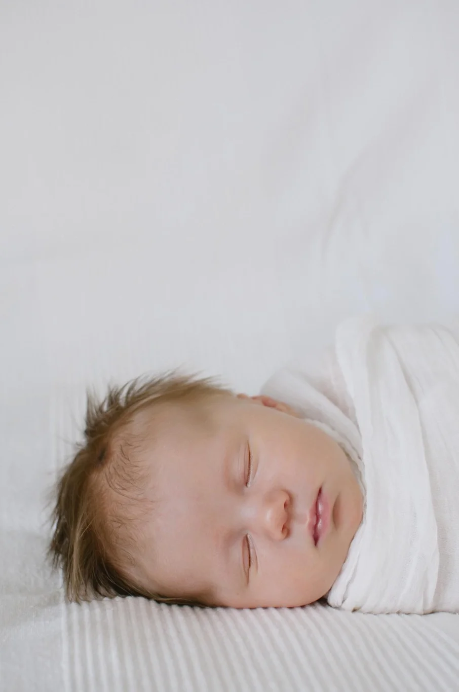 FileItem-241947-eleanor239.jpg
