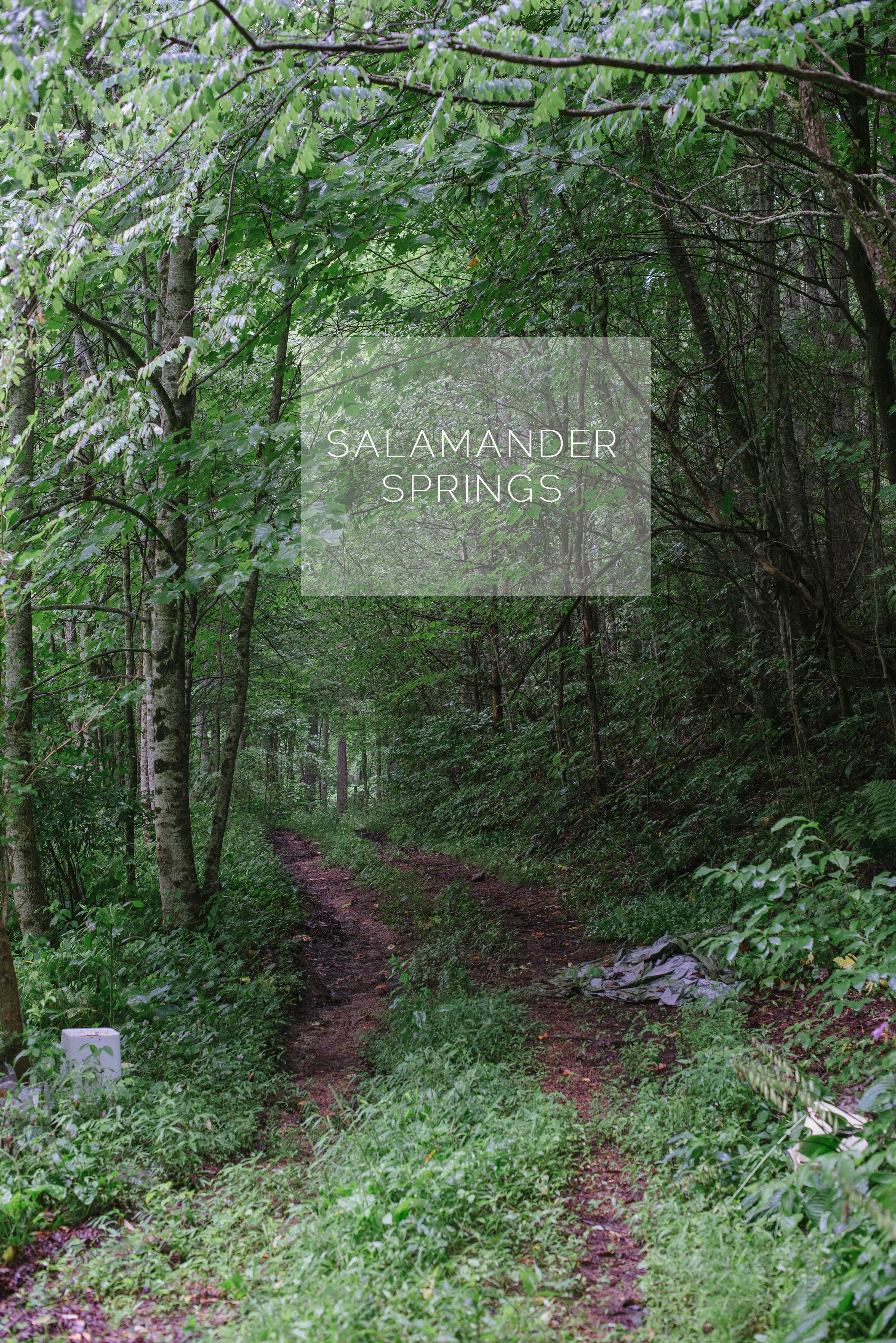 Salamander Springs | Farm to Table 2014