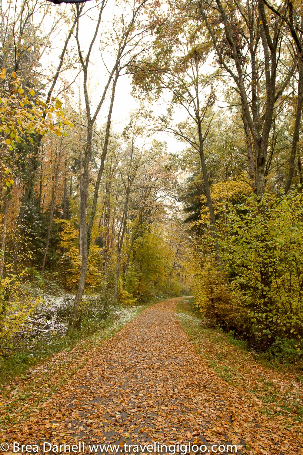 Can you believe how green it is for the first snow? 