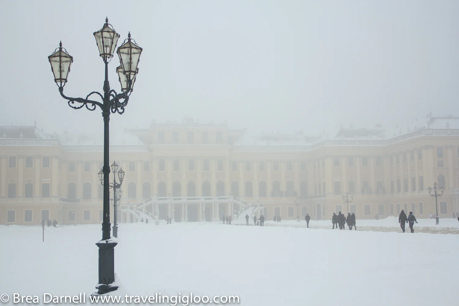 Vienna-2013 (7 of 19).jpg