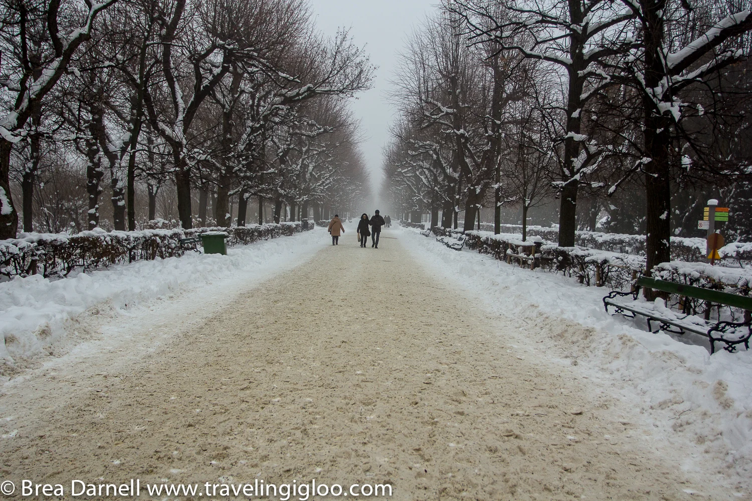 Vienna-2013 (8 of 19).jpg