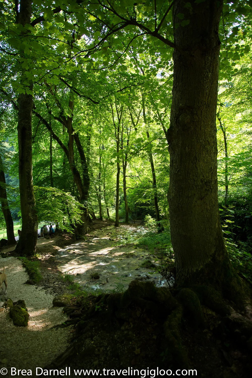 untitled-68.jpg