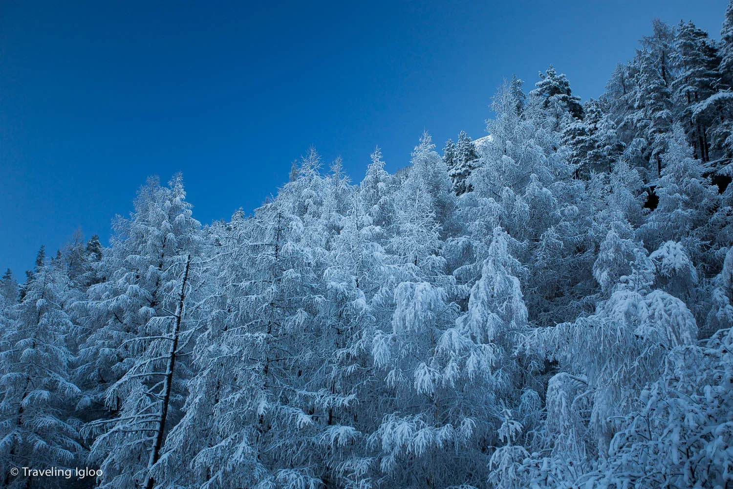 Solden-Austria-Skiing (121 of 53).jpg