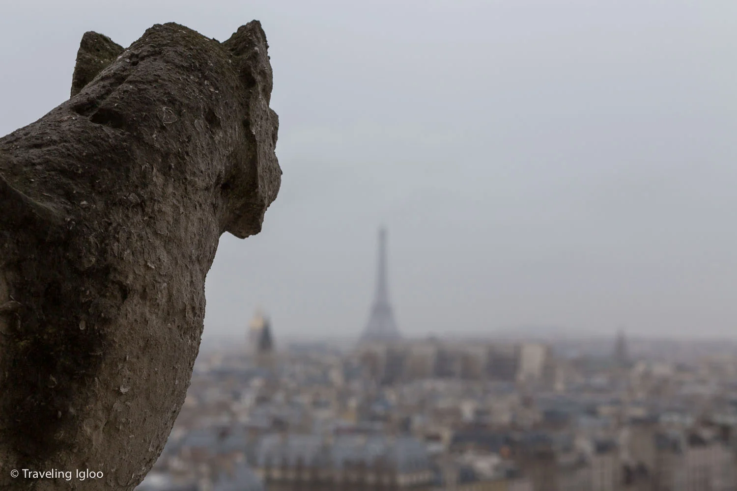 paris (26 of 28).jpg