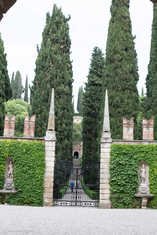 untitled (367 of 372).jpg