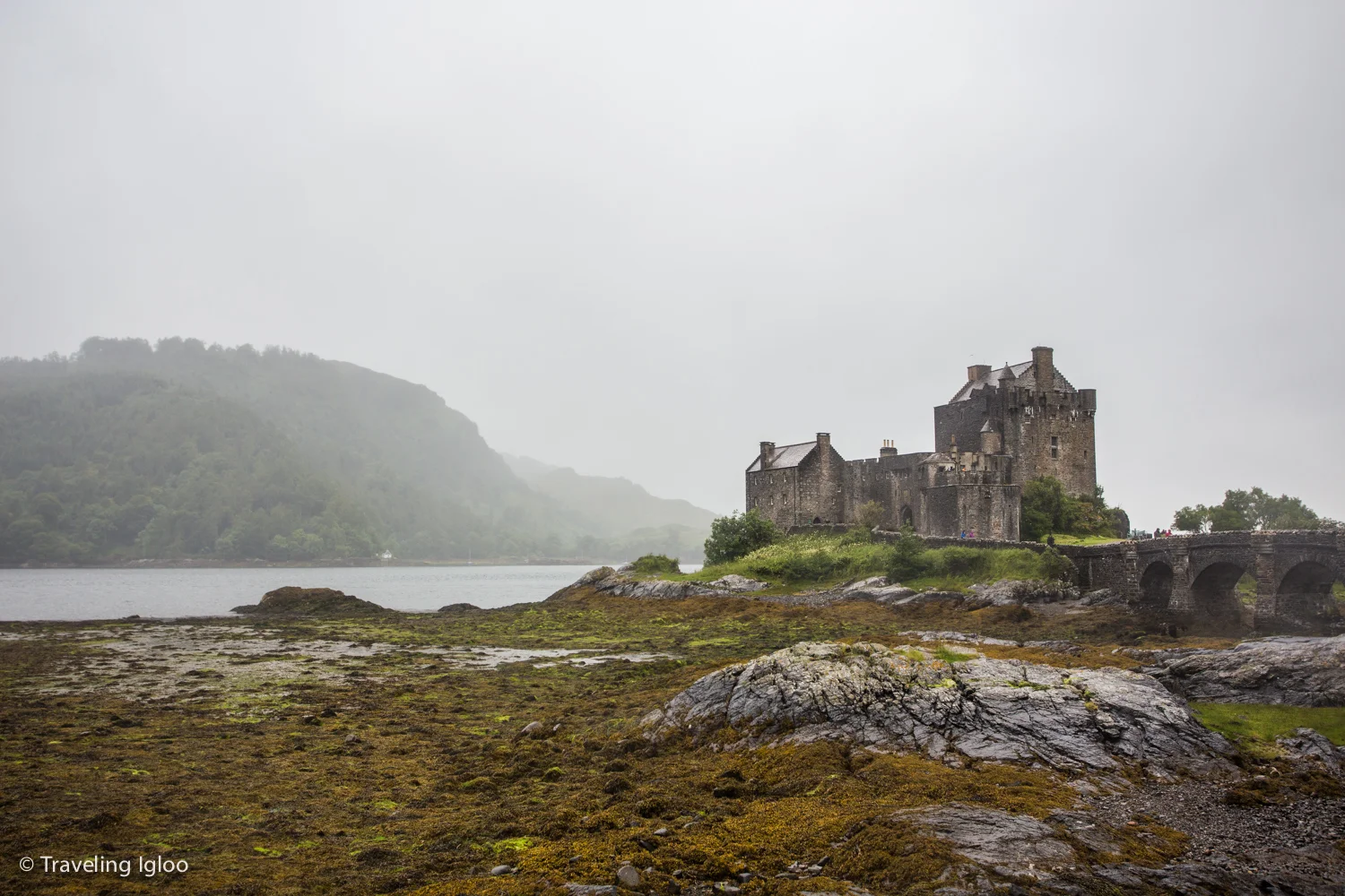 Scotland18.jpg