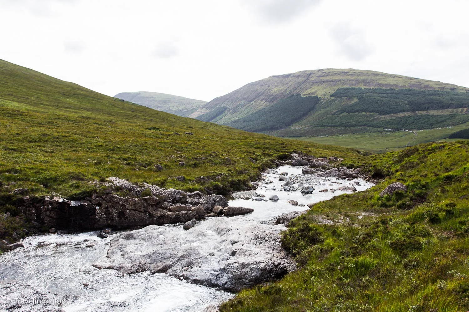 Scotland8.jpg