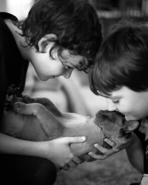 Does anyone remember this photo on my Christmas card a year or so ago? This cat took ALL the lovin' he could get :)