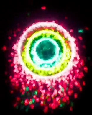 30245922537_f52dbf2eb6_o.jpg