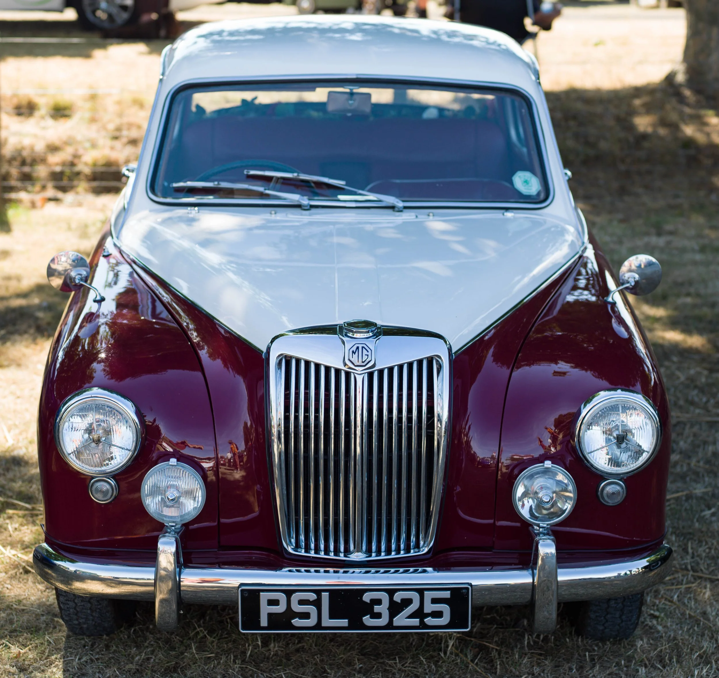 Driffield Steam Fair (7 of 29).jpg