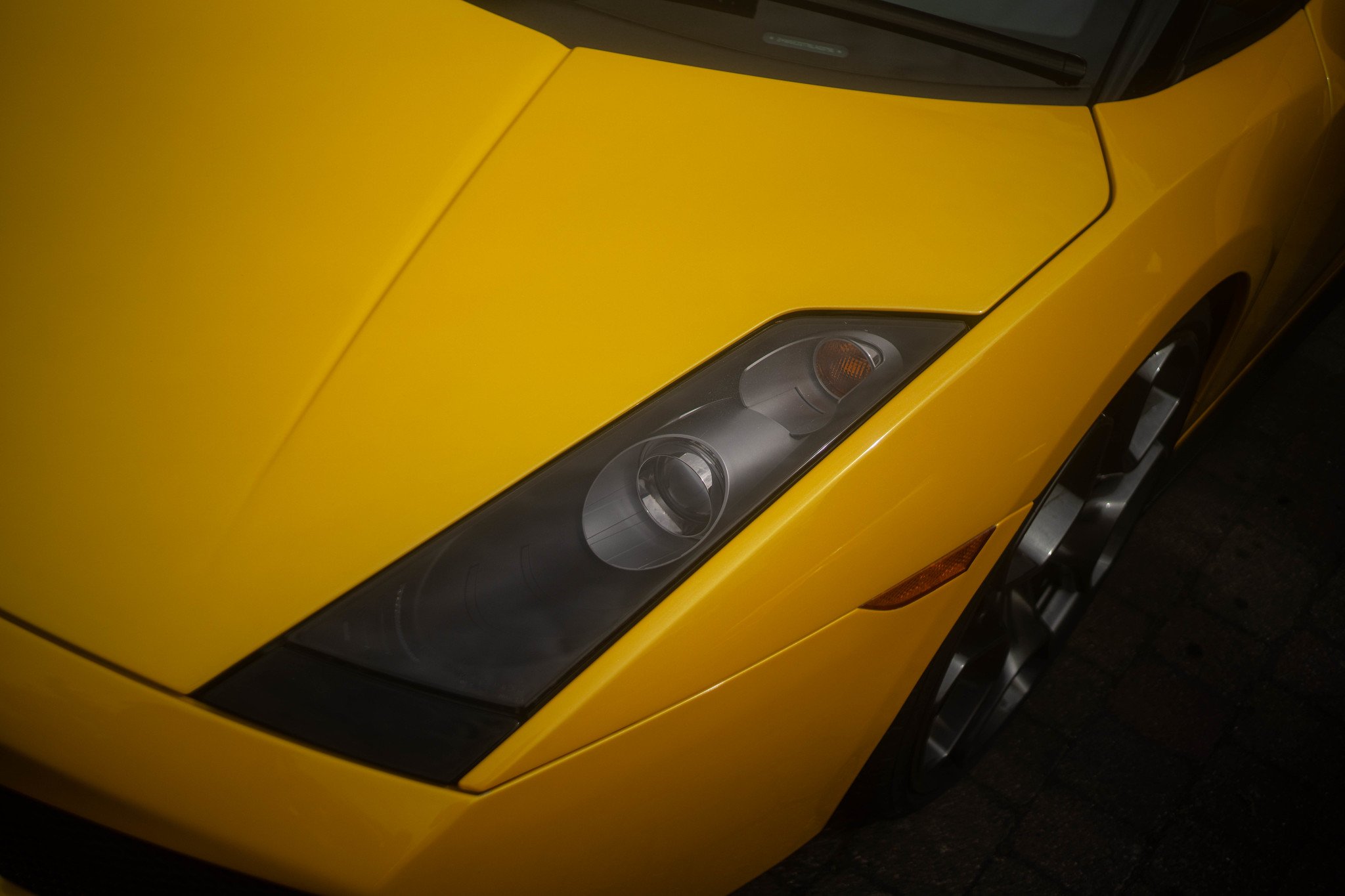 DSC04710.jpg