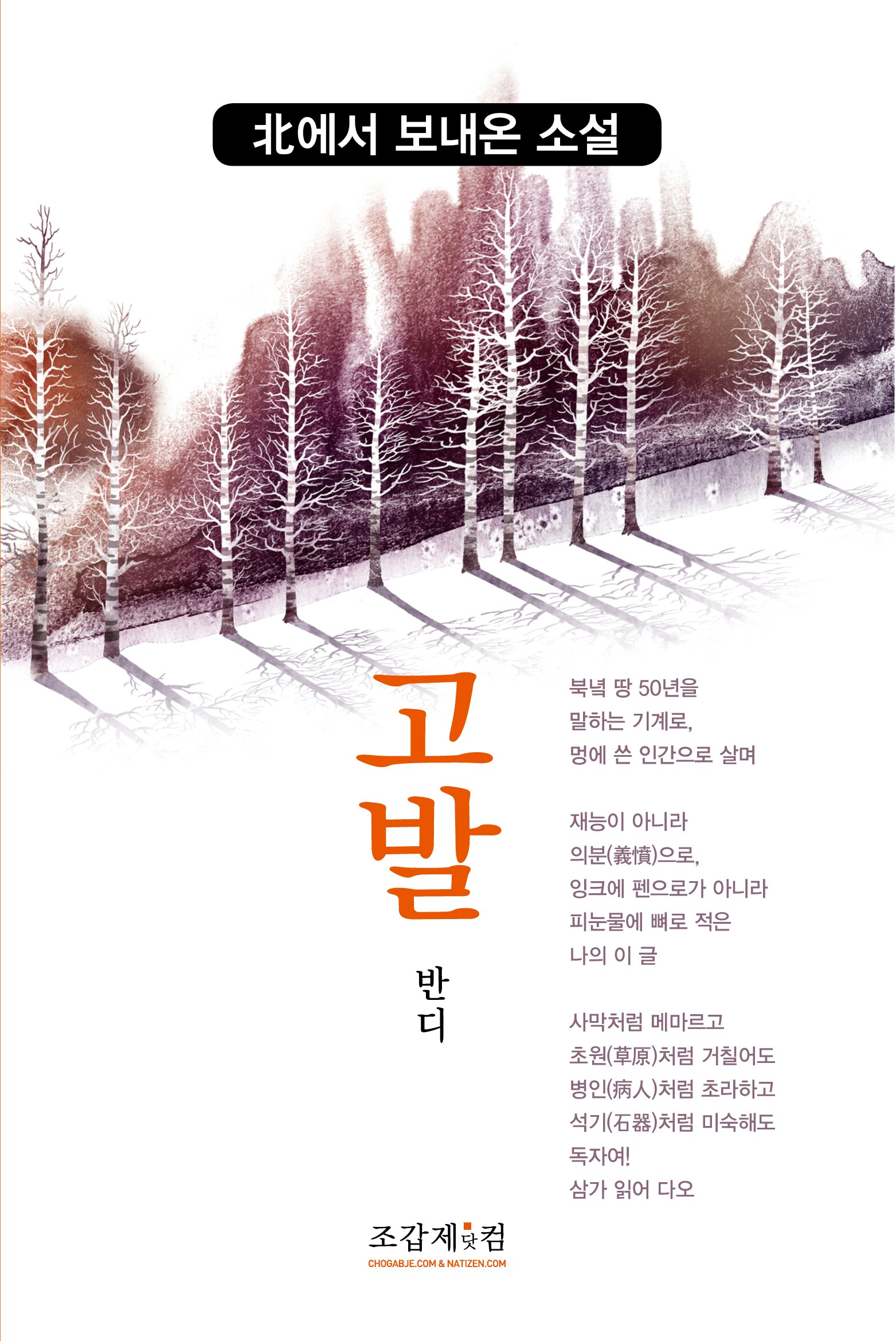 Bandi_The Accusation_Korean Cover_KL.jpg