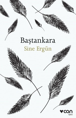 Book cover_Turkey.jpg