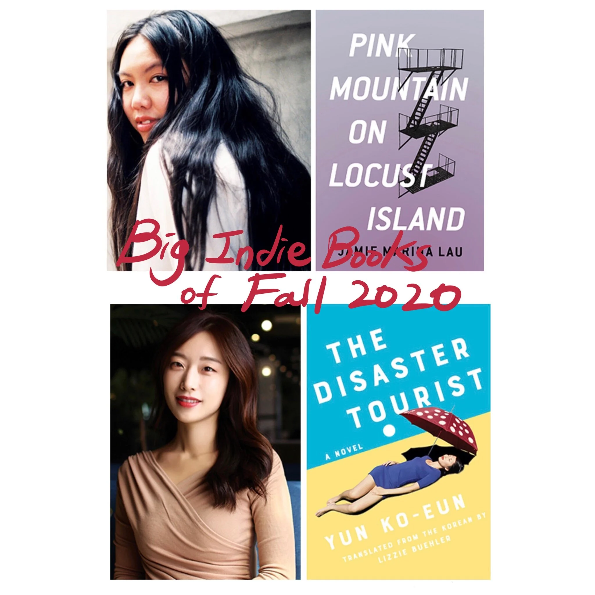 The Big Indie Books of Fall 2020: Pink Mountain on Locust Island &amp; The Disaster Tourist